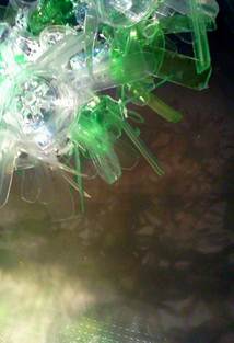 Description: IMG168_edit0