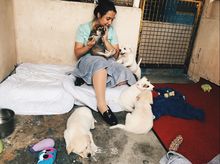 Sai Kung Stray Friends Foundation  – Providing Education Outside The Classroom