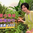 陳香兒