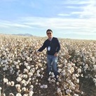 Johnny Lok
