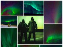 Northern Light is fundraising for Senior Citizen Home Safety Association