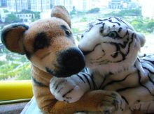 Tiger Dog is fundraising for Nature Hikeathon & Treasure Hunt @ KFBG