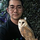 Kwong Ka Wai
