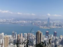 馬文 is fundraising for Heifer HK 20K Animal Virtual Run
