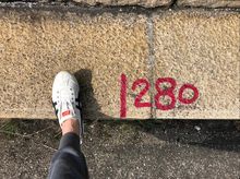 Chan Yuk Shan Carol is fundraising for Light and Love Home Charity Walk 2020(Special Edition) Chan Yuk Shan Carol is fundraising for Light and Love Home Charity Walk 2020(Special Edition)