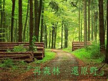 郭兆文 / 美雪 is fundraising for Nature Hikeathon & Treasure Hunt @ KFBG 郭兆文 / 美雪 is fundraising for Nature Hikeathon & Treasure Hunt @ KFBG