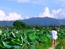 Fibi  is fundraising for Eco-Rangers 2016