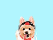 BEAR BEAR  正為「《心光傲行》籌款活動2020-21 Fundraising for Ebenezer Virtual Walk With PRIDE」籌款