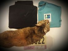 Lapson1001 is fundraising for The Hong Kong Anti-Cancer Society