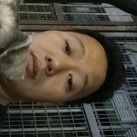 kuk