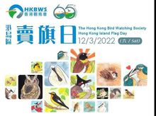 HKBWS Hong Kong Island Flag Day
