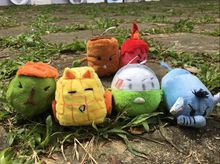 Yan WT is fundraising for Eco-Rangers 2017