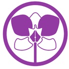 Orchid Bloom